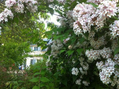 Bed & Breakfast La Butte De Gohier