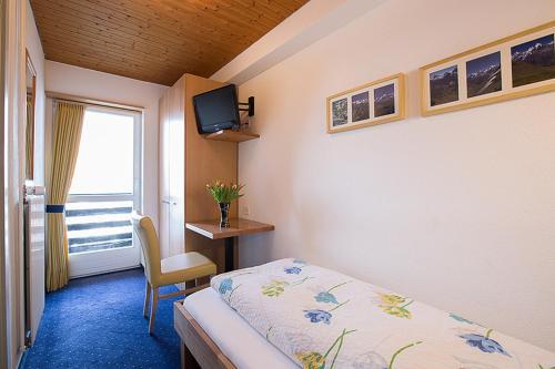Hotel Alpina