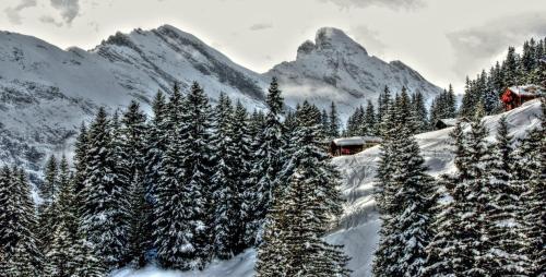 Hotel Alpina