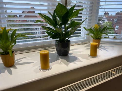 Regal Retreat Modern 2 Bed Apartment 400m From Sea