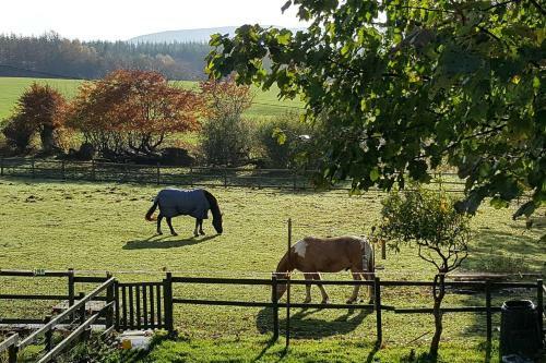 Stuc An T Sagairt Cottage , Loch Lomond