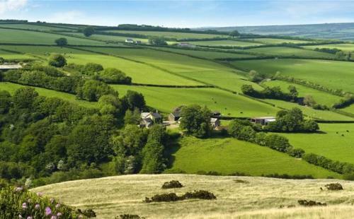 Bed & Breakfast Zeal Farm