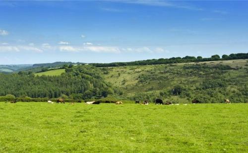 Bed & Breakfast Zeal Farm