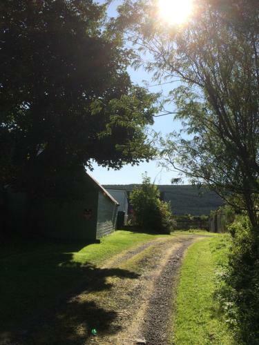 Bed & Breakfast Lettoch Farm