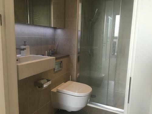 Luxurious Serviced Apartment In Croydon