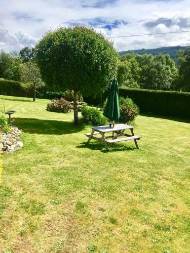 Forest View Caravan At Rose Cottage - Adults Only - Maximum 2 Guests