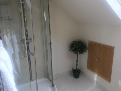Tranquil Countryside Bungalow With Private Garden!