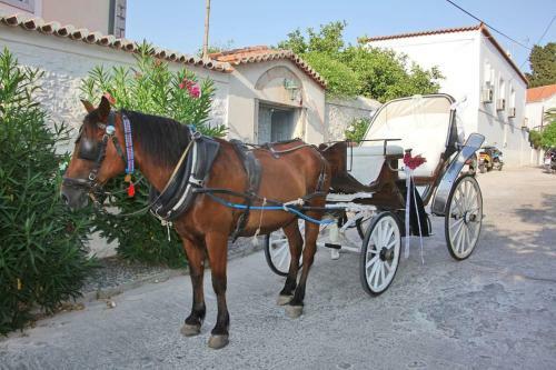 Apartamento Villa 1853, Spetses Ground Floor