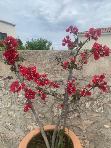Apartamento Villa 1853, Spetses Ground Floor