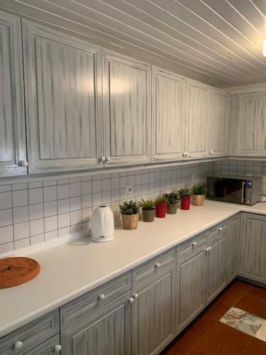Apartamento Villa 1853, Spetses Ground Floor