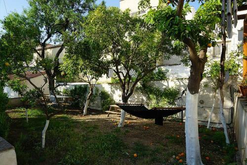 Agroturismo Two Olive Trees