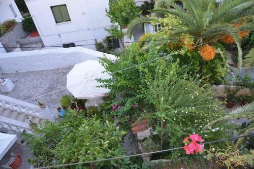 Posada Thalassa, Return To Timeless Spetses