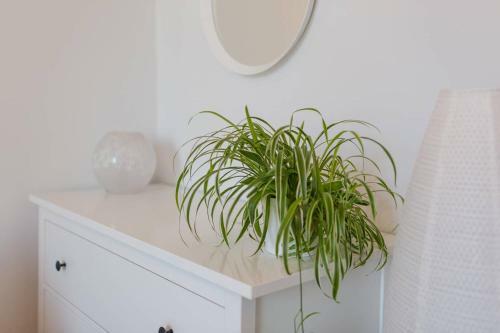 Apartamento Historic Edinburgh 1890s Home Turned Relaxing Retreat