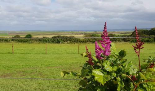 Lilly's Lodges Orkney Butterfly Lodge