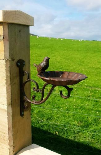 Lilly's Lodges Orkney Hedgehog Lodge