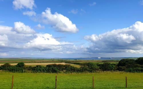 Lilly's Lodges Orkney Hedgehog Lodge