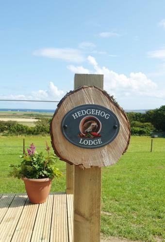 Lilly's Lodges Orkney Hedgehog Lodge