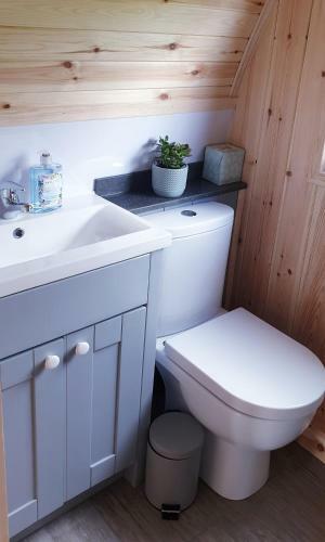 Lilly's Lodges Orkney Hedgehog Lodge