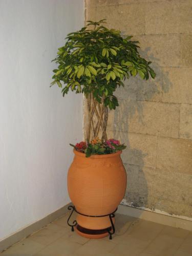 Apartamento Eleftheria Lindian Studios II