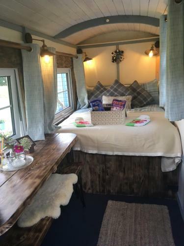 Lodge Belan Bluebell Woods Shepherds Hut