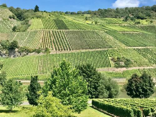 Apartamento Weinlofts An Der Mosel