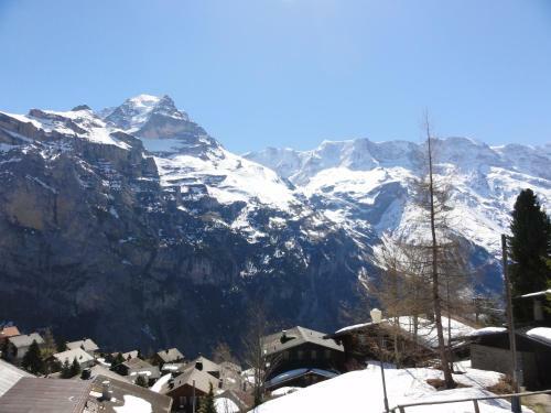 Apartamento Chalet Sch�nb�hl