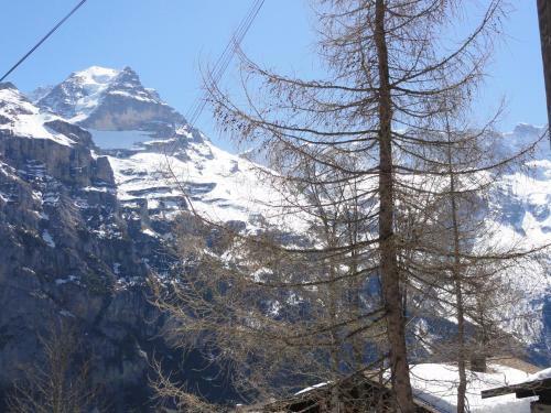 Apartamento Chalet Sch�nb�hl