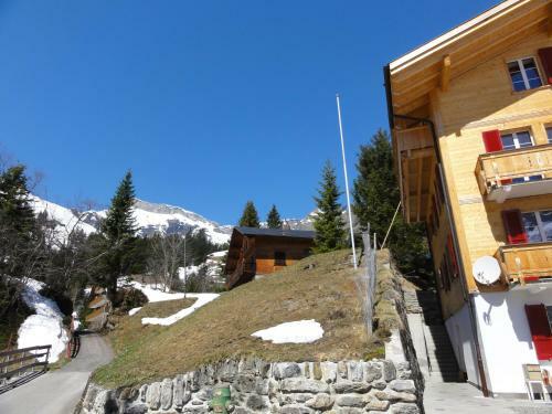 Apartamento Chalet Sch�nb�hl