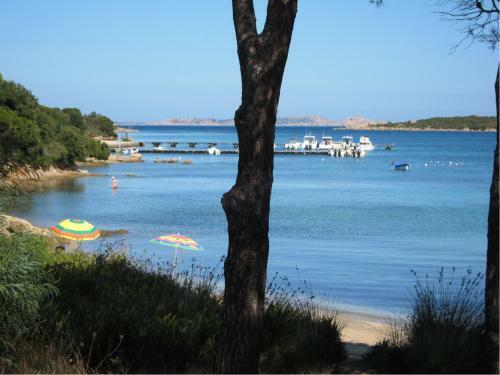 Apartamento Conca Verde