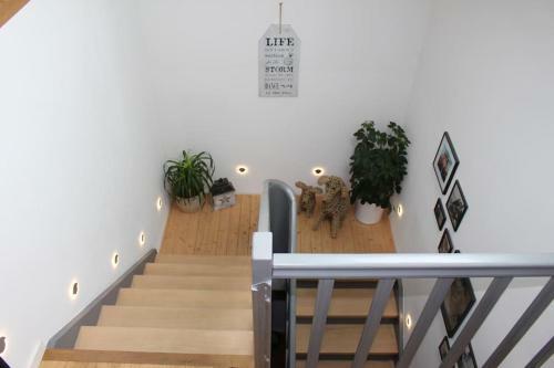 Wundersch�nes Haus - Pool, Netflix & Viele Extras