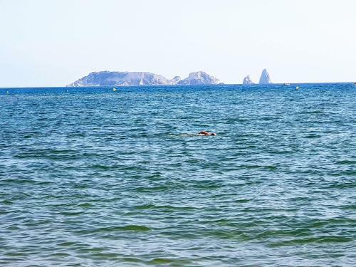 Apartamento Port Pals