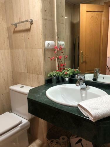 Apartamento Centro Hist�rico Catedral Carril Del Pic�n. Parking Opcional
