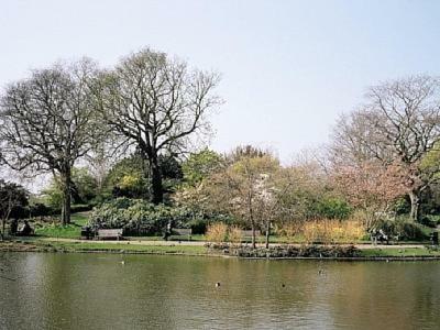 Apartamento London Dream House - Marylebone House