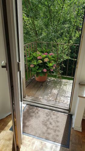 Apartamento Stadtnahe Wohnung Mit Kl.balkon Und Parkplatz