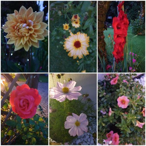 Richlands Homestay