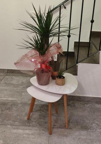 Apartamento Casa Sant Vicent 63