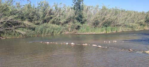 Glamping Les Rodanes 1