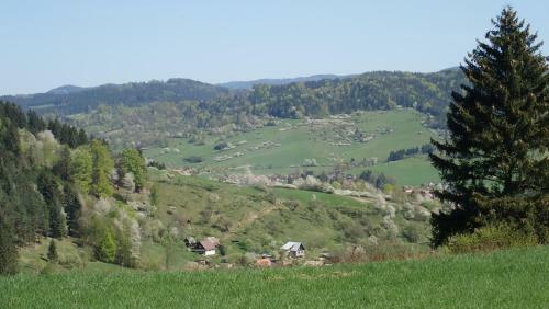 Hostal Pension Fortuna
