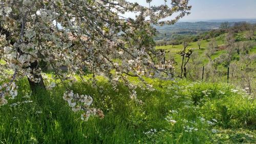 Apartamento Tramonti E Valli