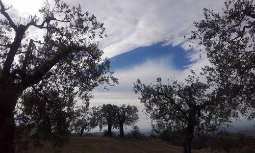 Apartamento Tramonti E Valli