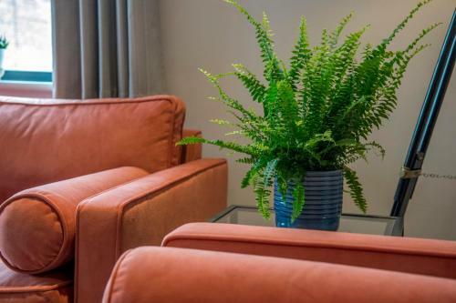 Apartamento The Quadrant - The Botanical Suite