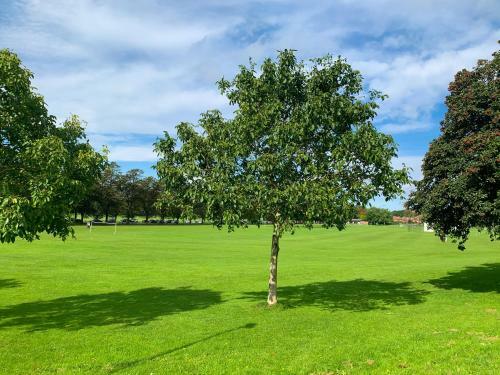 Apartamento The Victoria - Free Parking - Peaceful Green Space
