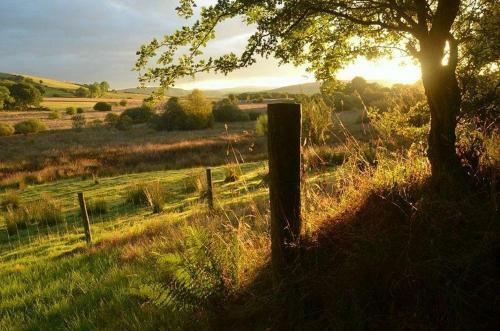 Brynarth Country Cottages