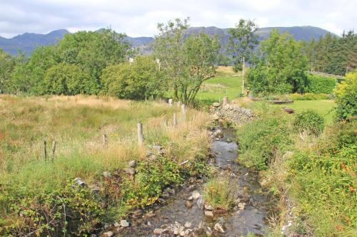 Manod Mountain Cottage, Ffestiniog Valley 5011