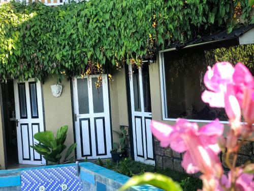 Shvaas Boutique Villa