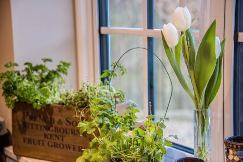 Bed & Breakfast St Leonards Farmhouse