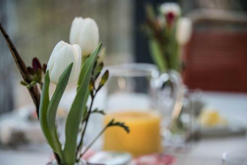 Bed & Breakfast St Leonards Farmhouse