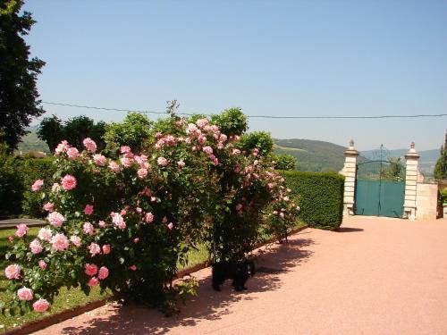 Bed & Breakfast Gentilhommi�re De Collonges
