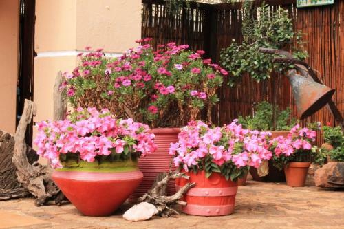 Hostal Birdsong Guest House
