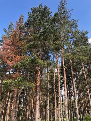 Apartamento Cairn Toul
